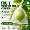 Fruit Protection Bags - Pack Of 50