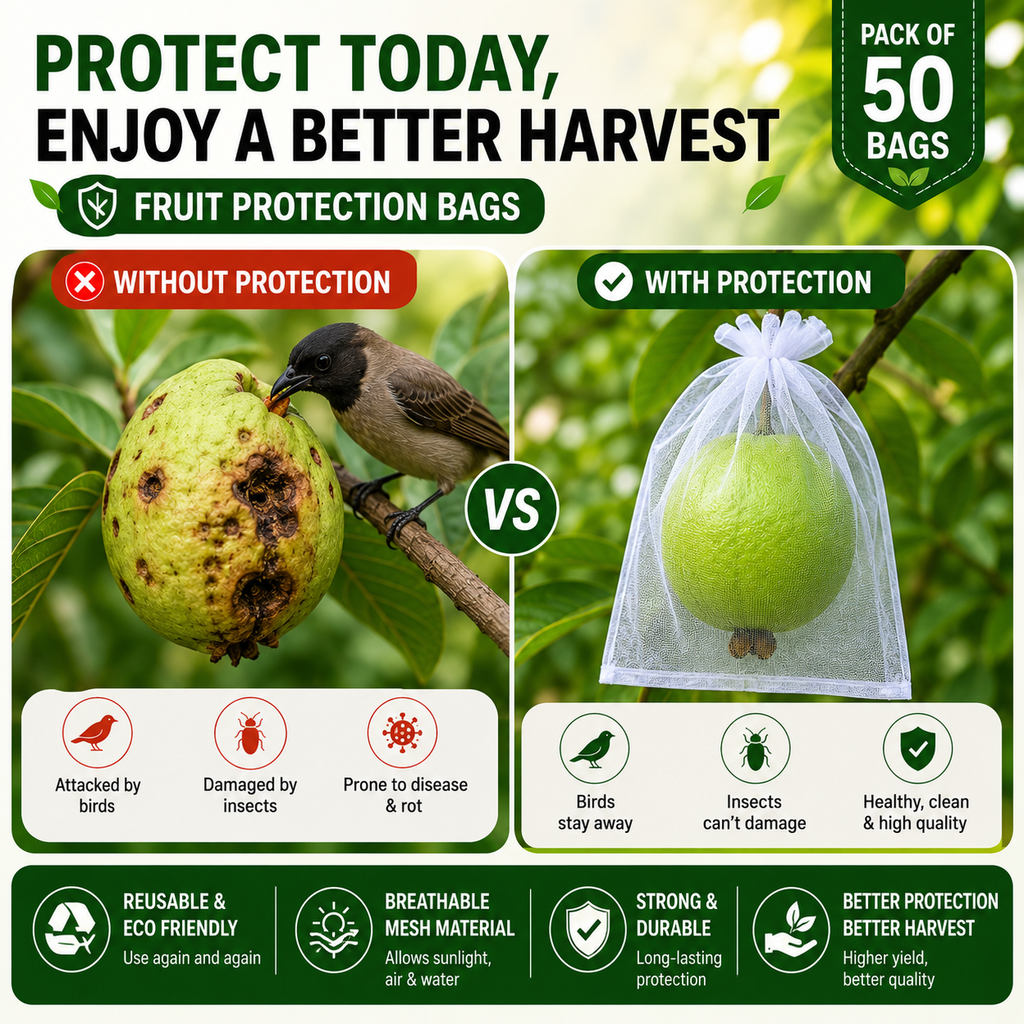 Fruit Protection Bags - Pack Of 50